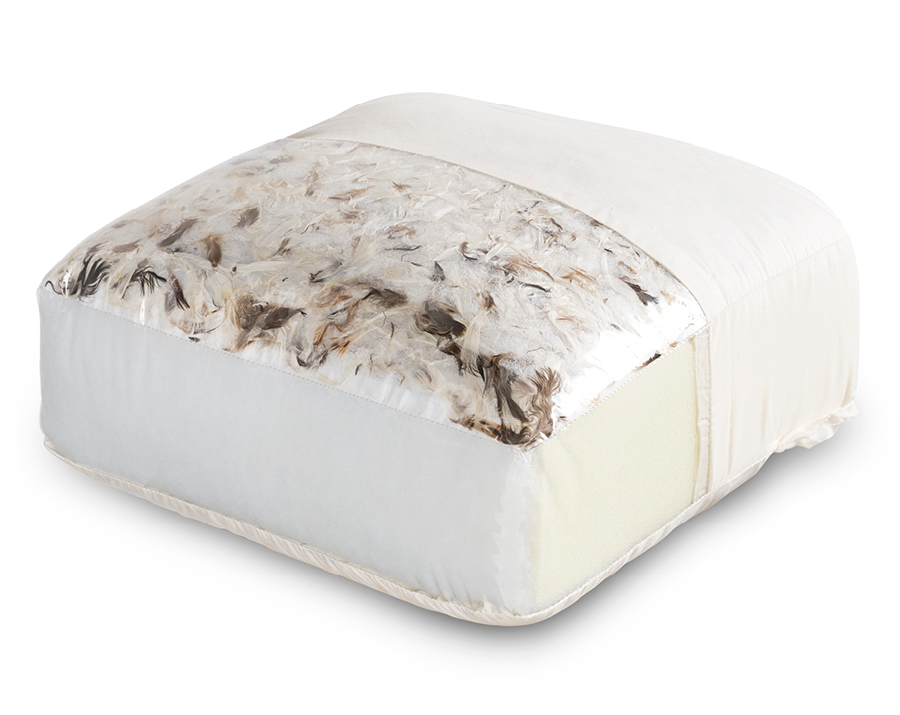 Cushion Scale